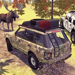 伊人直播打扑克