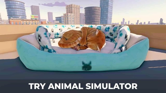 精彩截图-亚洲秘一区二区三区大都市游戏免费下载-亚洲秘一区二区三区大都市最新版(Cat Simulator)下载 v1.1 安卓版4